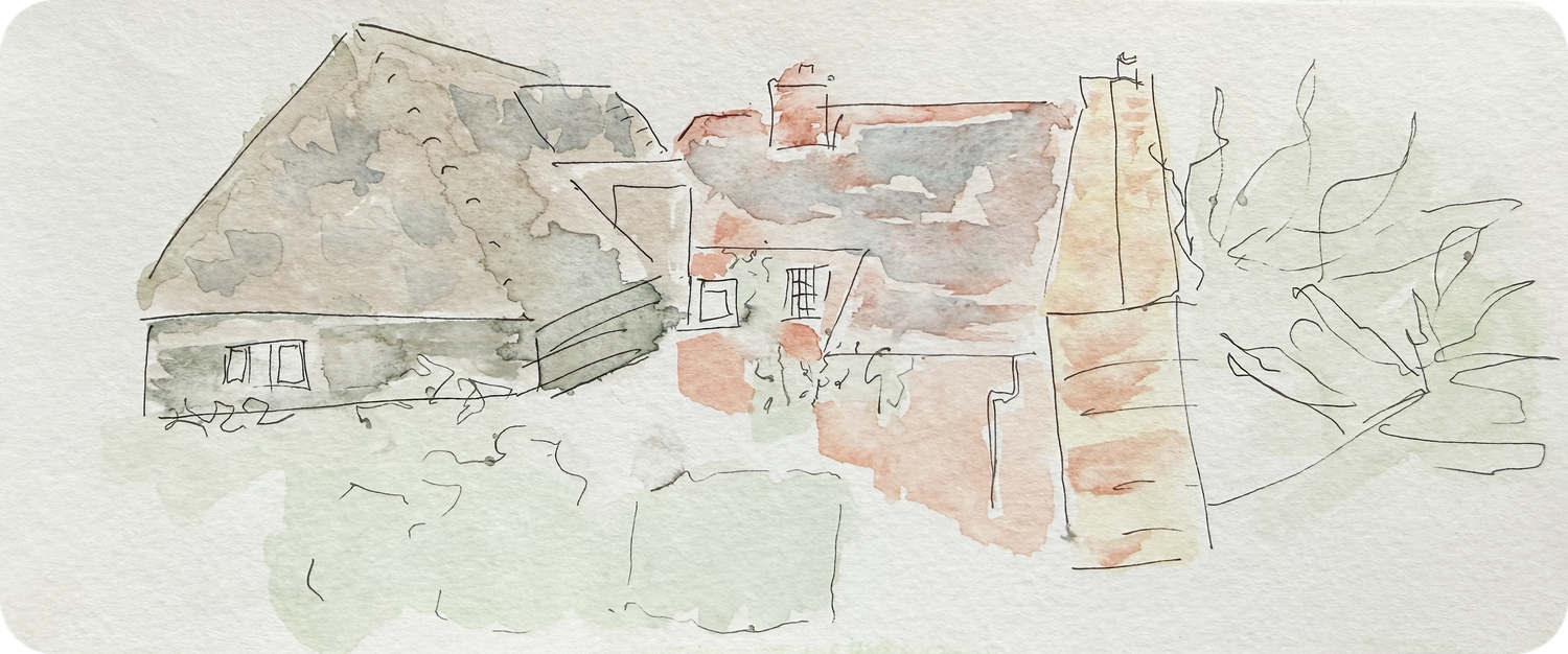 Watercolor 8